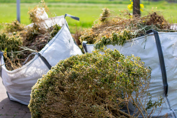 Best Junk Removal for Businesses  in Fairbury, IL